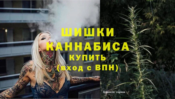 Альфа ПВП Арсеньев