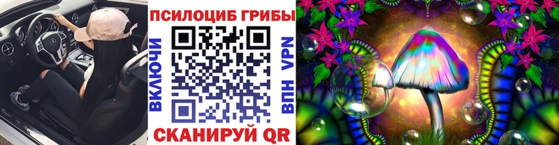 наркошоп  Гурьевск  Галлюциногенные грибы Magic Shrooms 